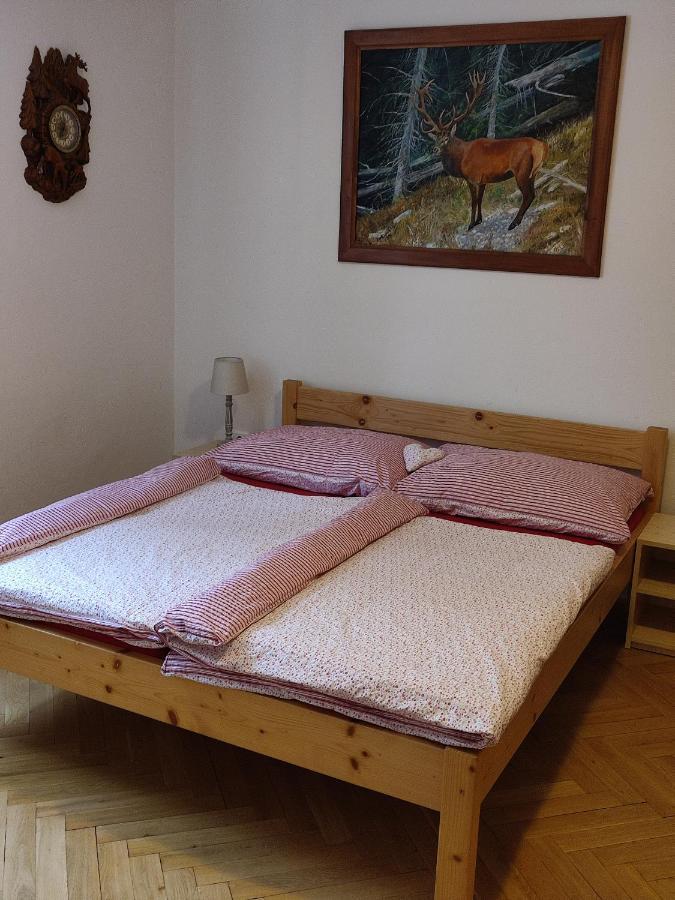 Apartment Hajenka
