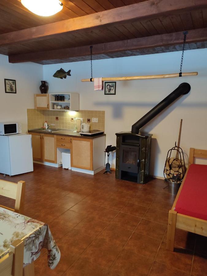 Apartment Hajenka