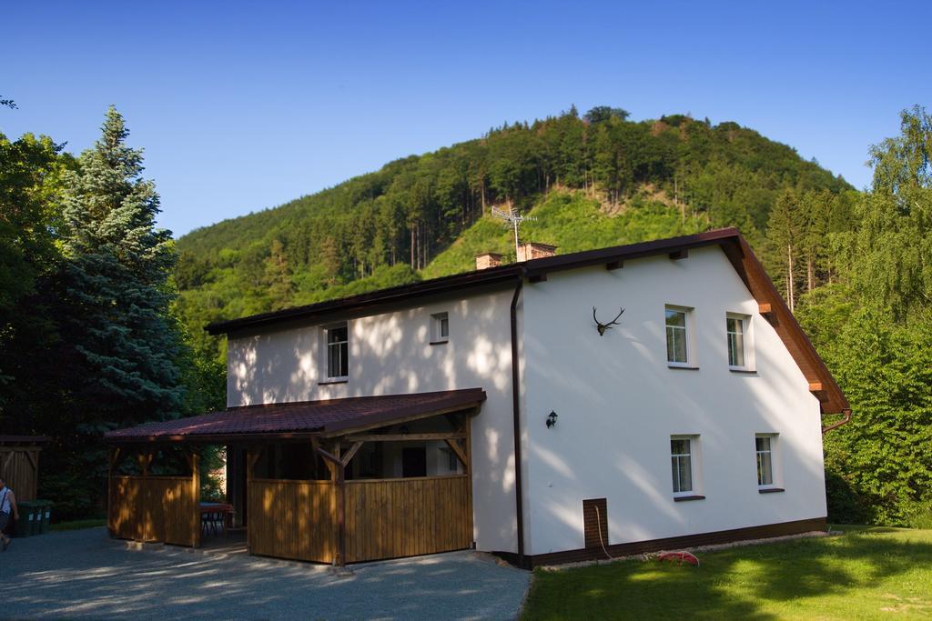 Apartment Hajenka