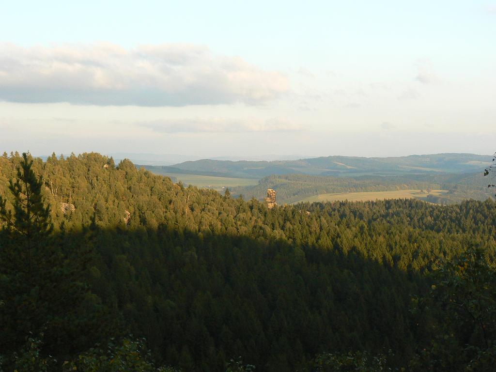 Hajenka