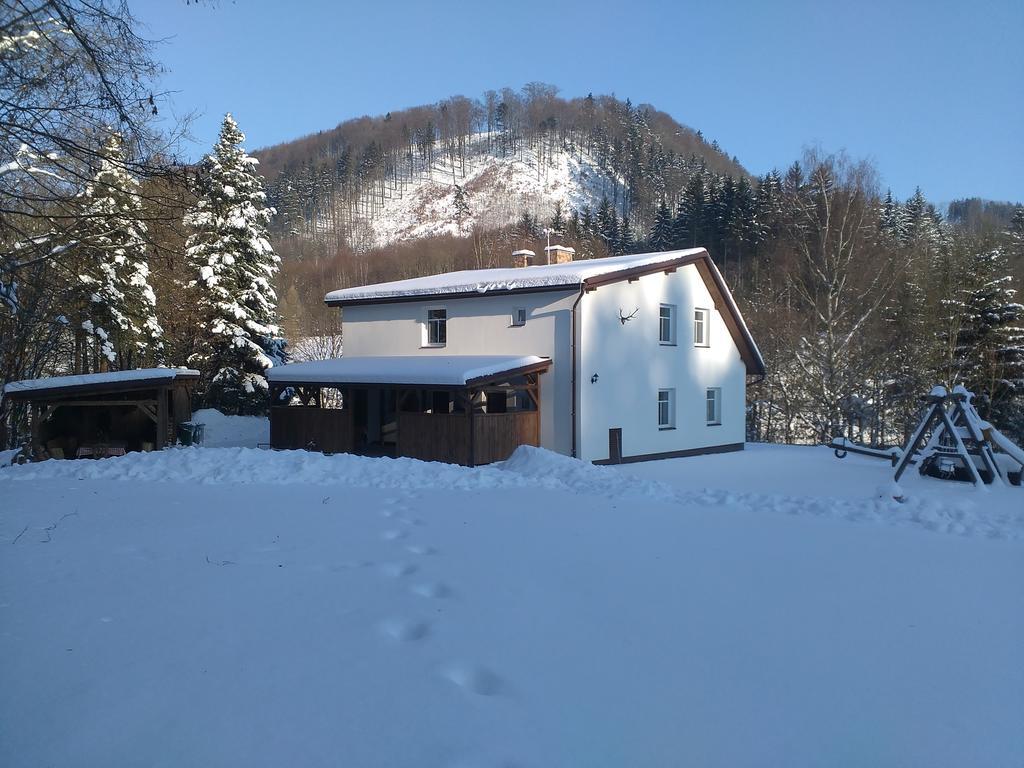Apartment Hajenka *